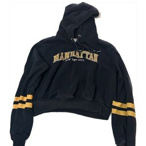 Small Divided Manhattan Graphic Cropped Hoodie